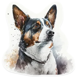 🐕