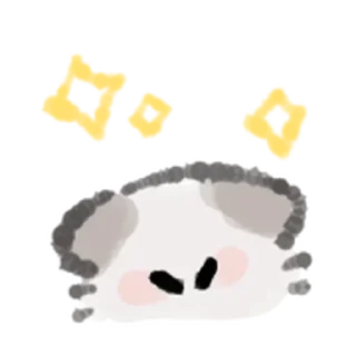 ✨