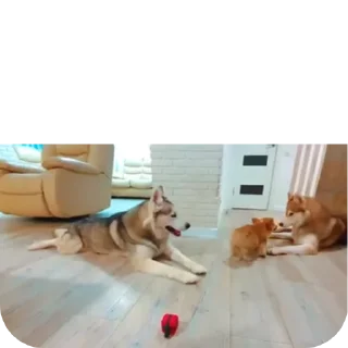 👍