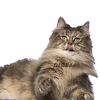 😝
