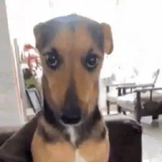👐