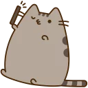 🐱