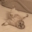 😐