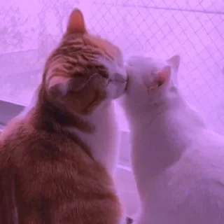 💜