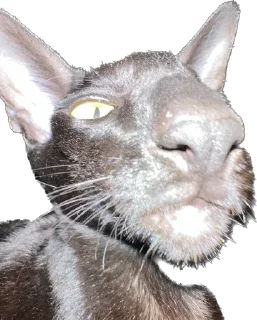 🤨