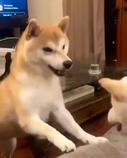 😡