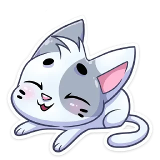 😽
