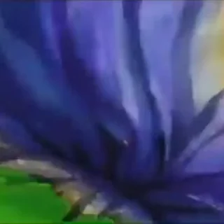 🍃