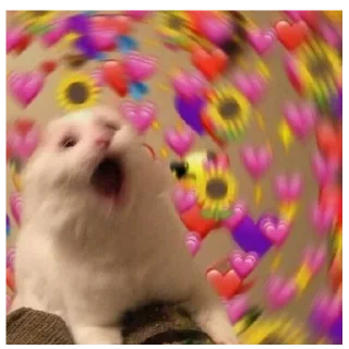 😻
