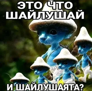 🌟
