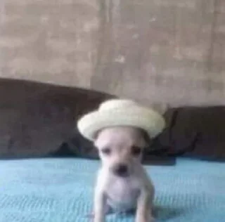 👒
