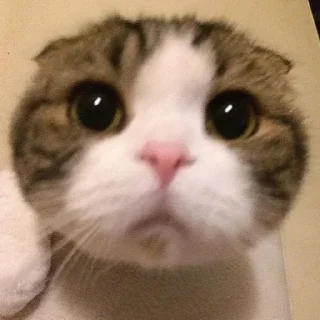 🙁