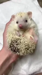 ☺