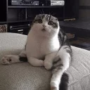 😧