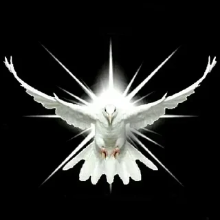 🕊