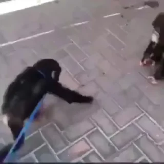 ♥️
