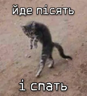 🥱