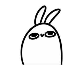 🐰