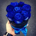 🌹