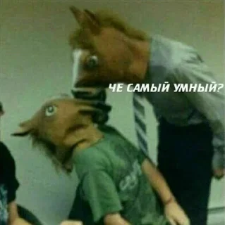🐴