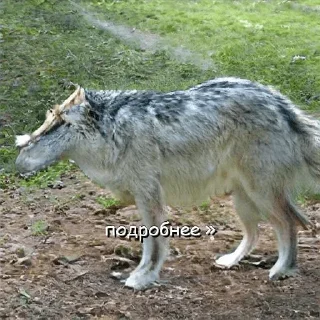 🤨