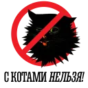 😿