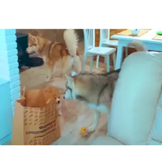 📦