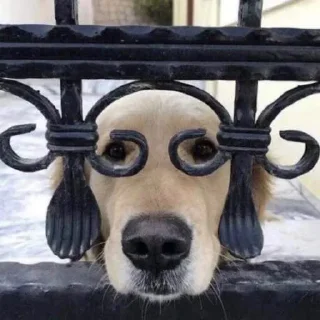 👀