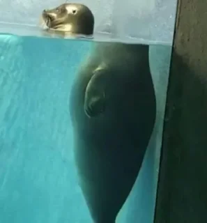 😶