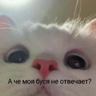 🥺
