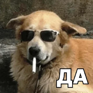 👌