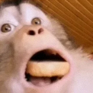 😲