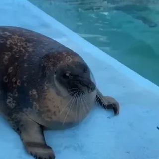 🙌