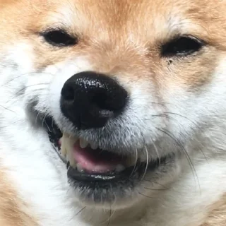 😏