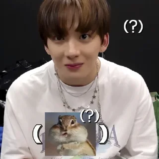 🐿