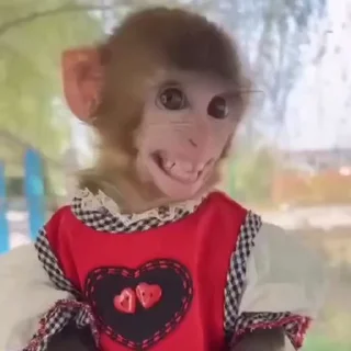 🤩