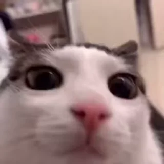 😳