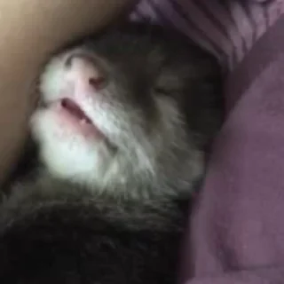🤤