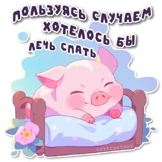 💤