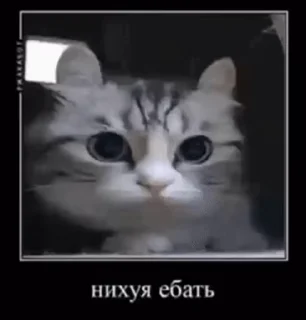 😯