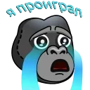 😭