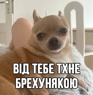 👃