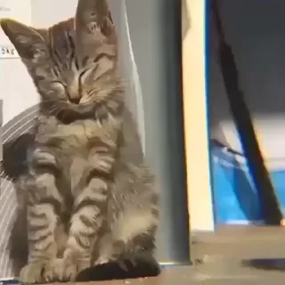 😵‍💫