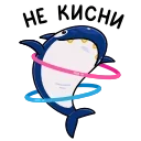 🦈