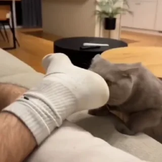 😨