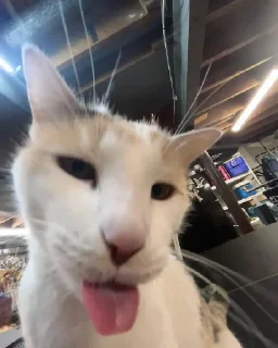 😛