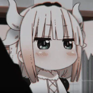 🐰
