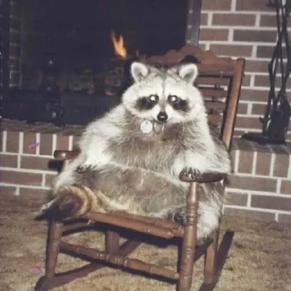 😎