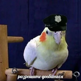🥴
