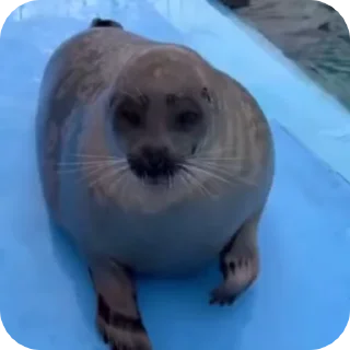 👋